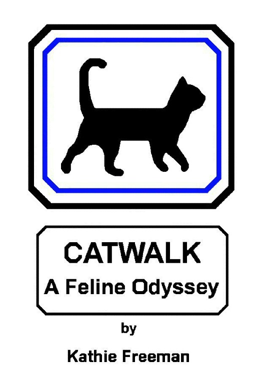 Catwalk