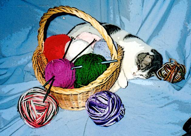 Basket of yarn with cat